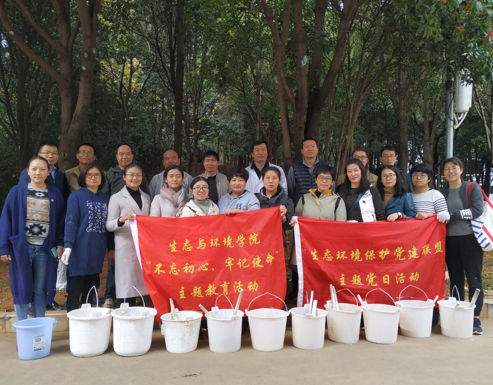 十大网络赌博网站排名