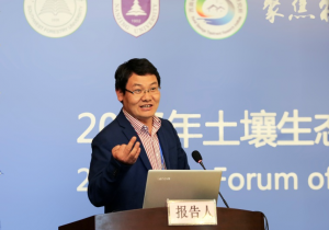 十大网络赌博网站排名