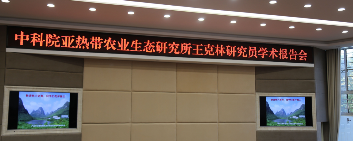 十大网络赌博网站排名