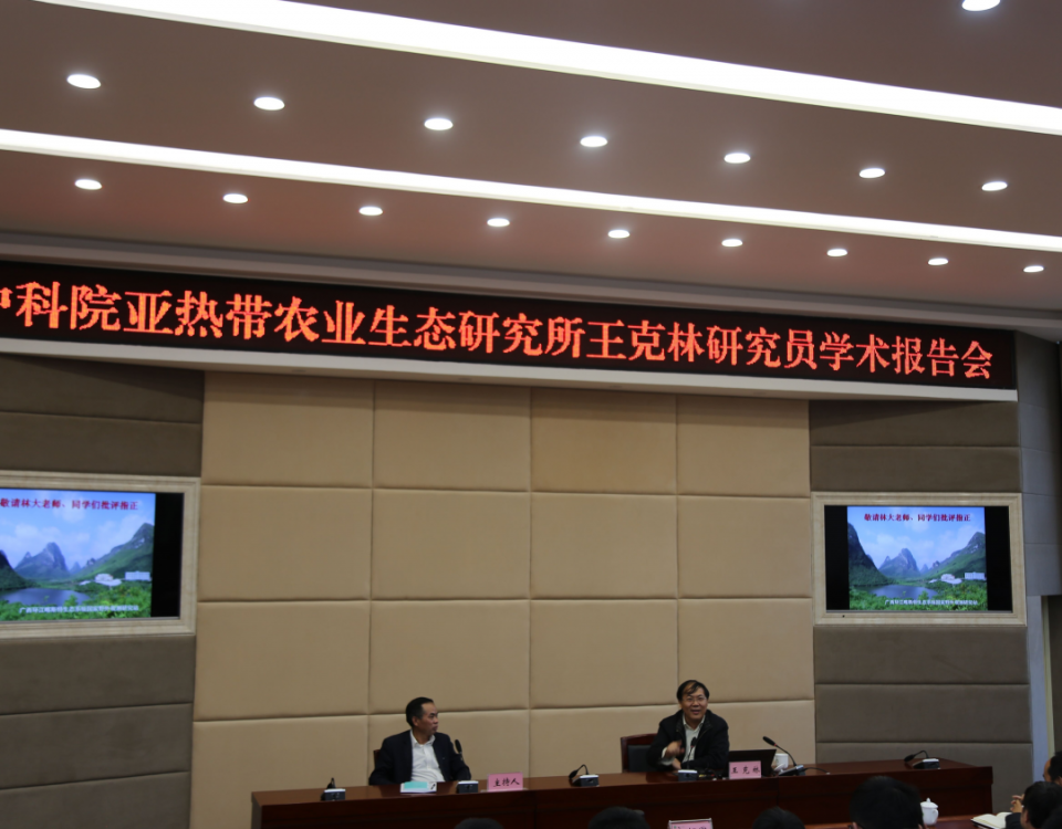 十大网络赌博网站排名