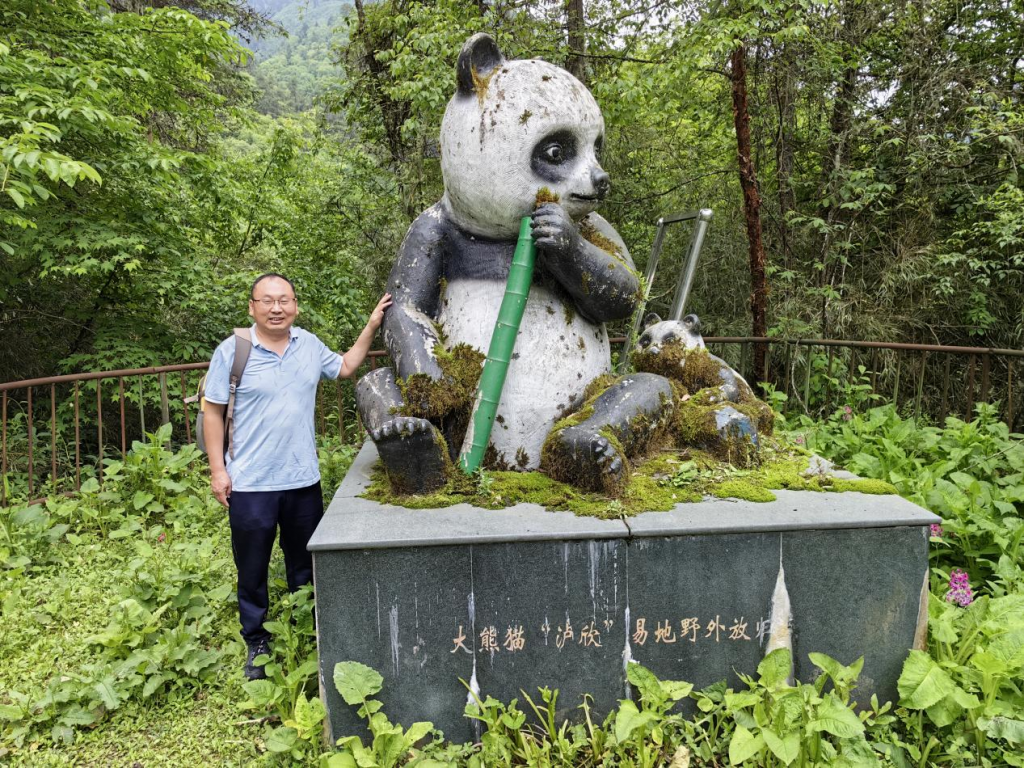 十大网络赌博网站排名