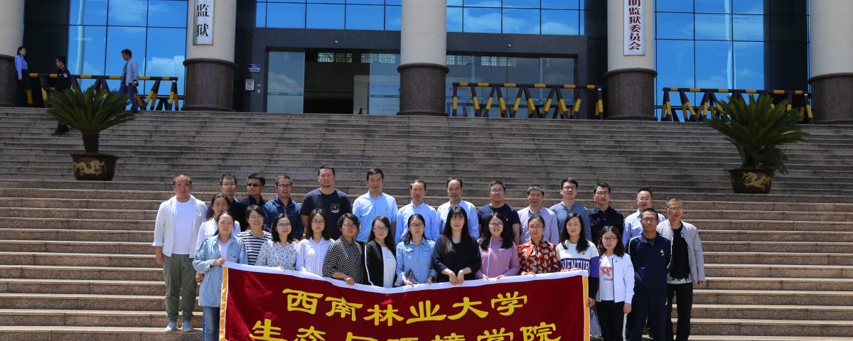 十大网络赌博网站排名
