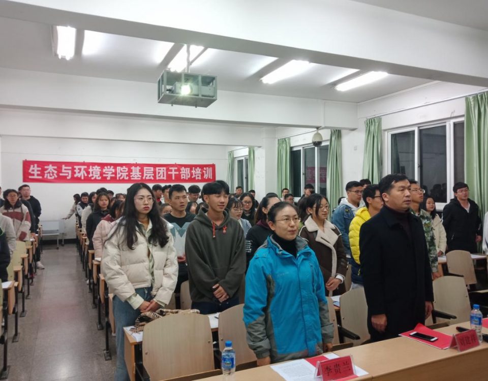 十大网络赌博网站排名