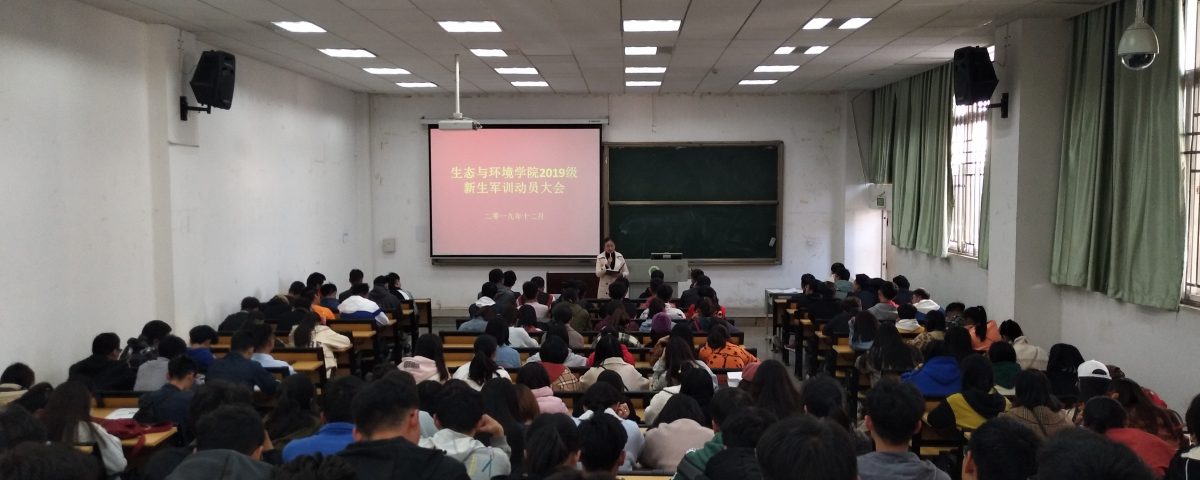 十大网络赌博网站排名