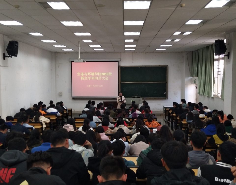 十大网络赌博网站排名