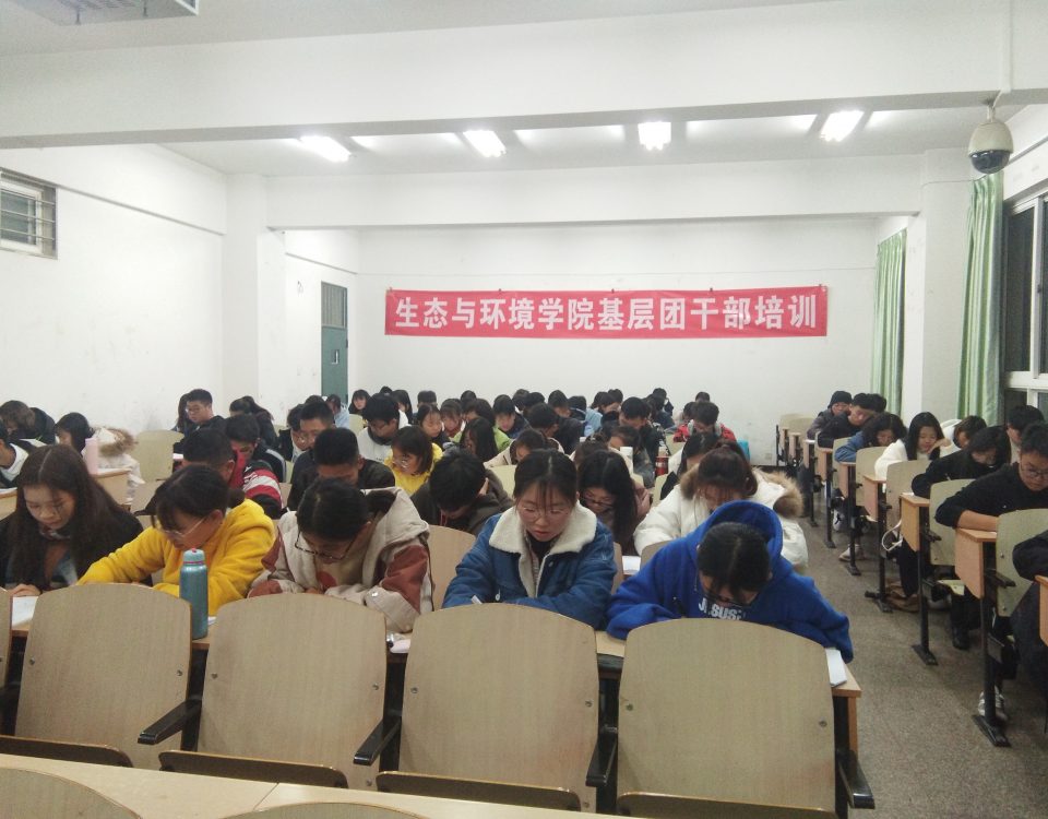 十大网络赌博网站排名