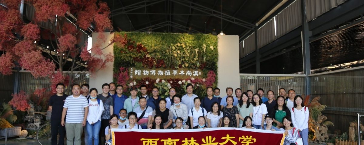 十大网络赌博网站排名