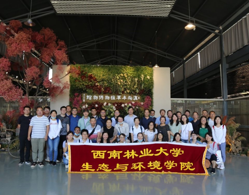 十大网络赌博网站排名
