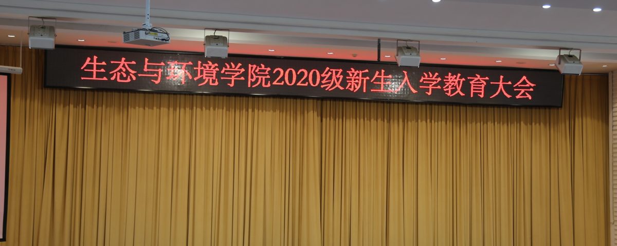 十大网络赌博网站排名