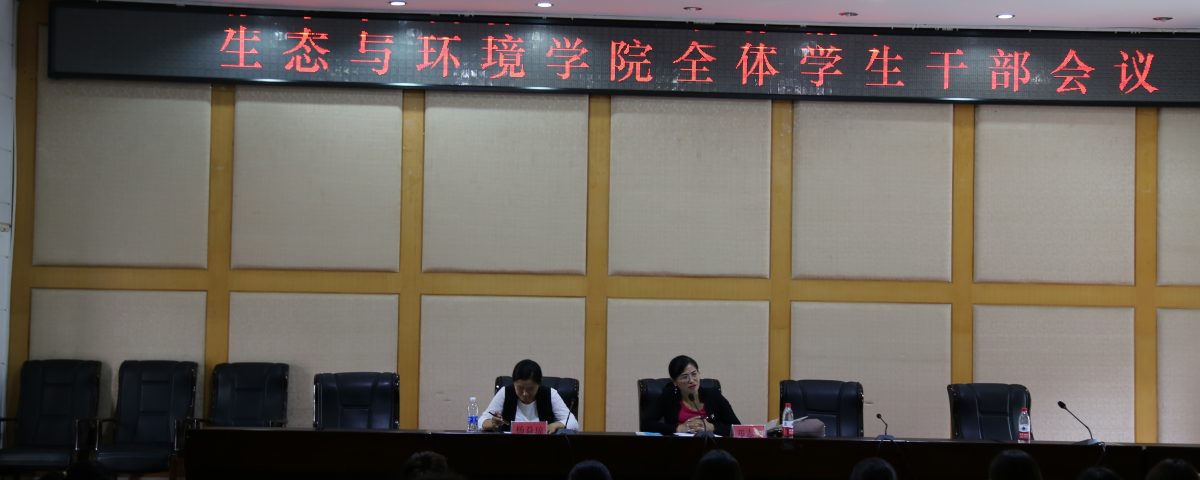 十大网络赌博网站排名
