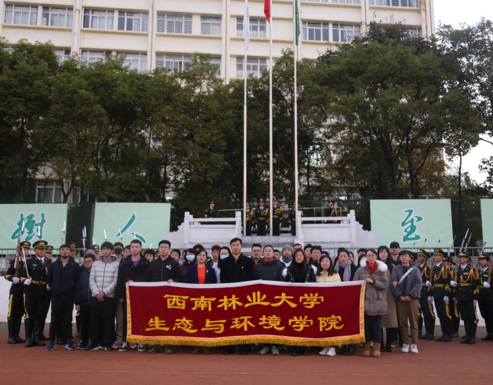 十大网络赌博网站排名