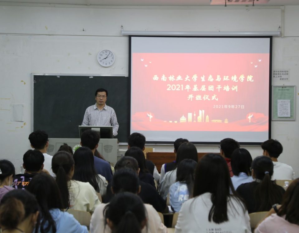 十大网络赌博网站排名