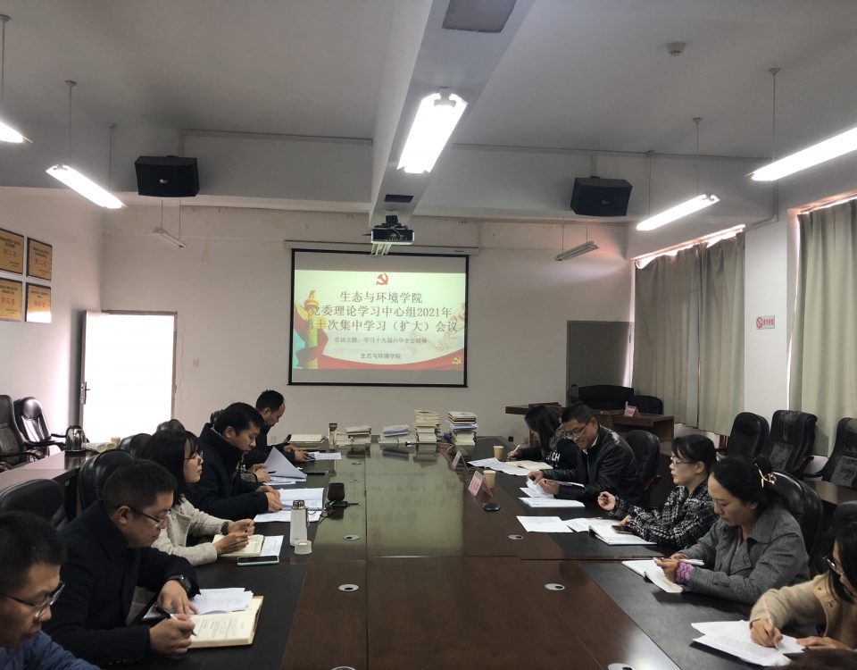 十大网络赌博网站排名