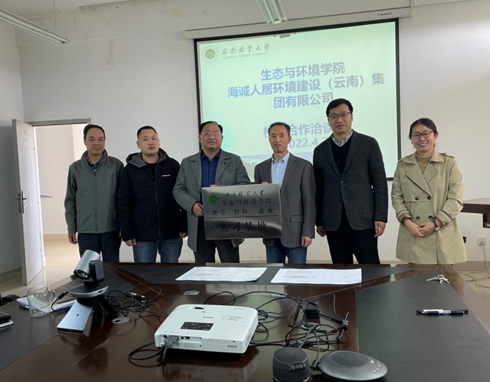 十大网络赌博网站排名
