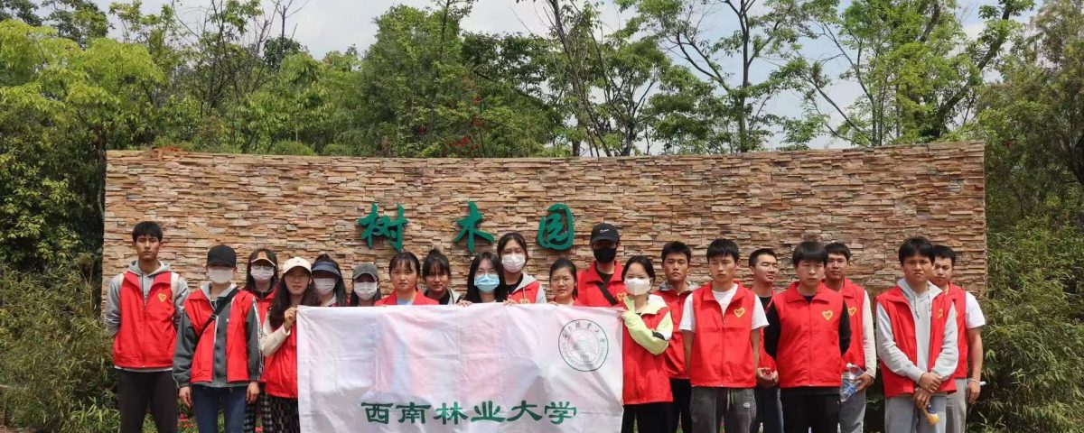 十大网络赌博网站排名