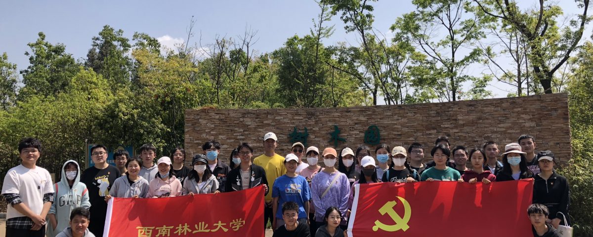 十大网络赌博网站排名