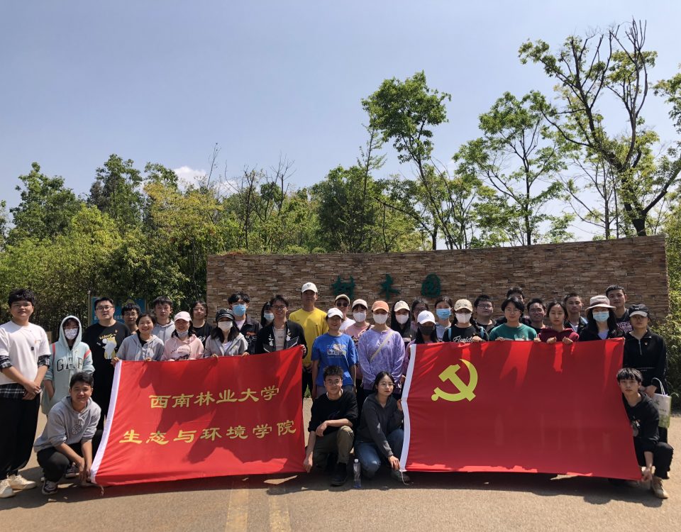 十大网络赌博网站排名
