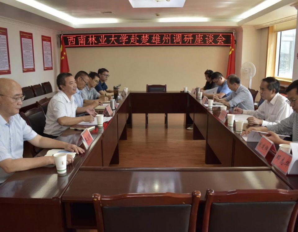 十大网络赌博网站排名