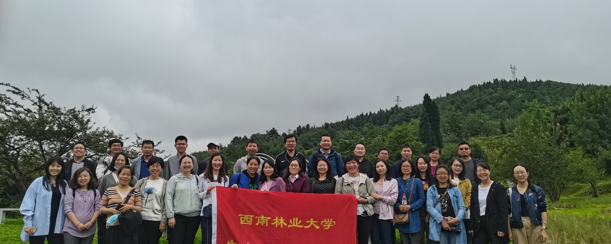 十大网络赌博网站排名