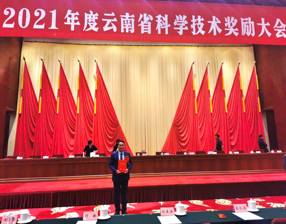 十大网络赌博网站排名