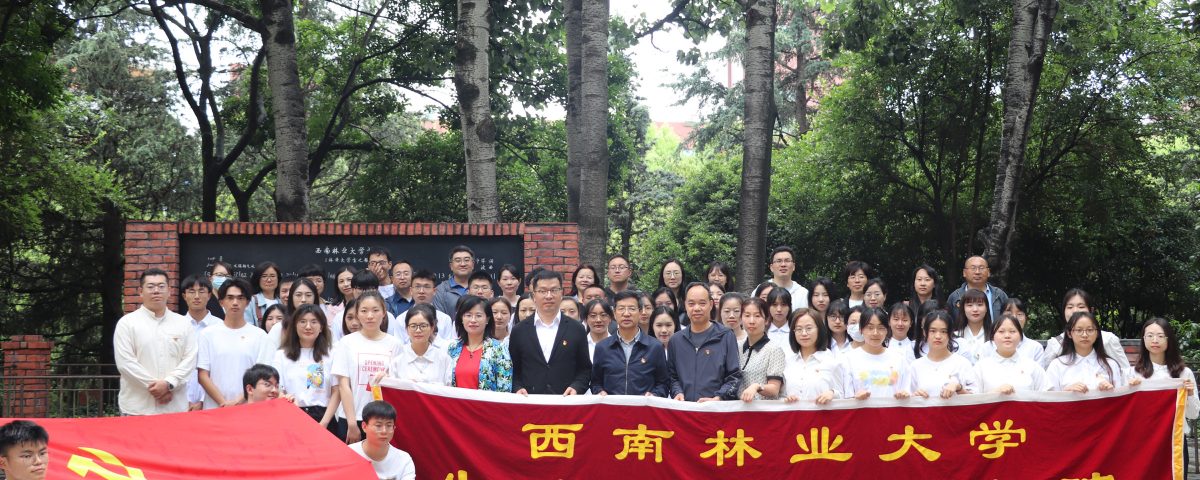 十大网络赌博网站排名