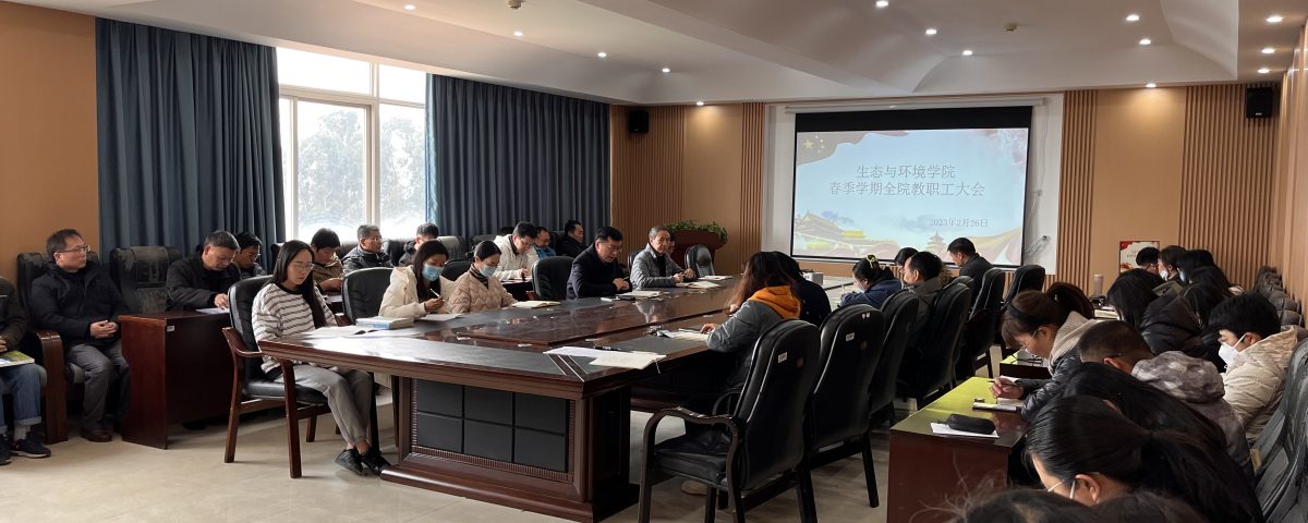 十大网络赌博网站排名