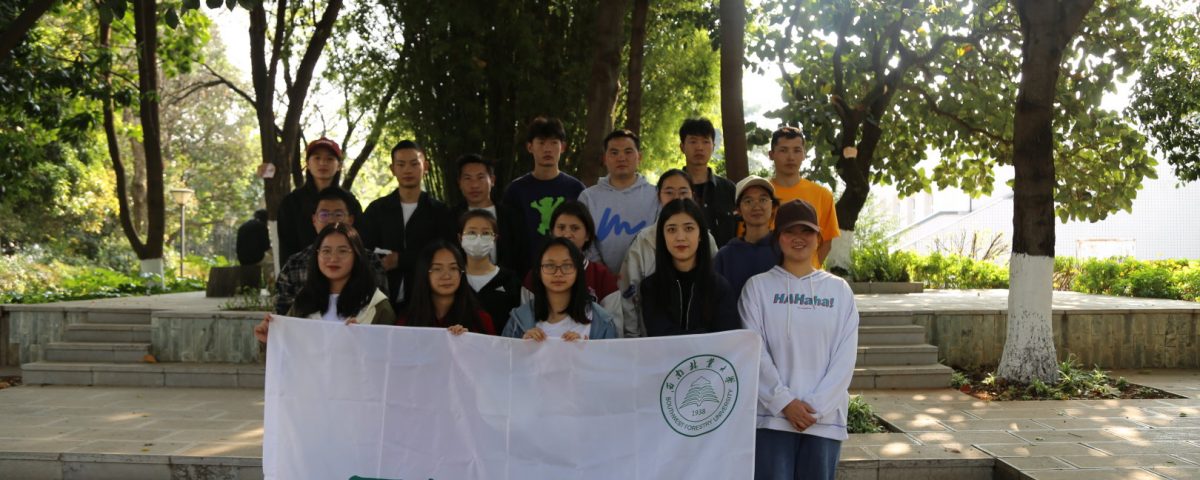 十大网络赌博网站排名