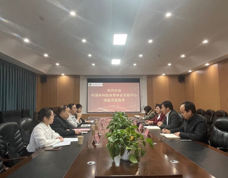 十大网络赌博网站排名