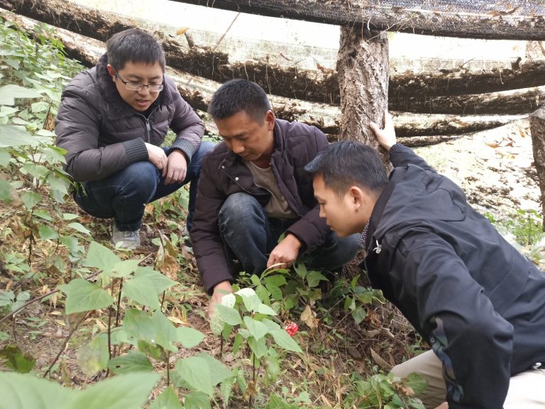 十大网络赌博网站排名