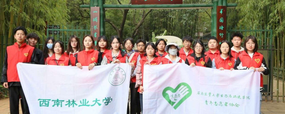 十大网络赌博网站排名