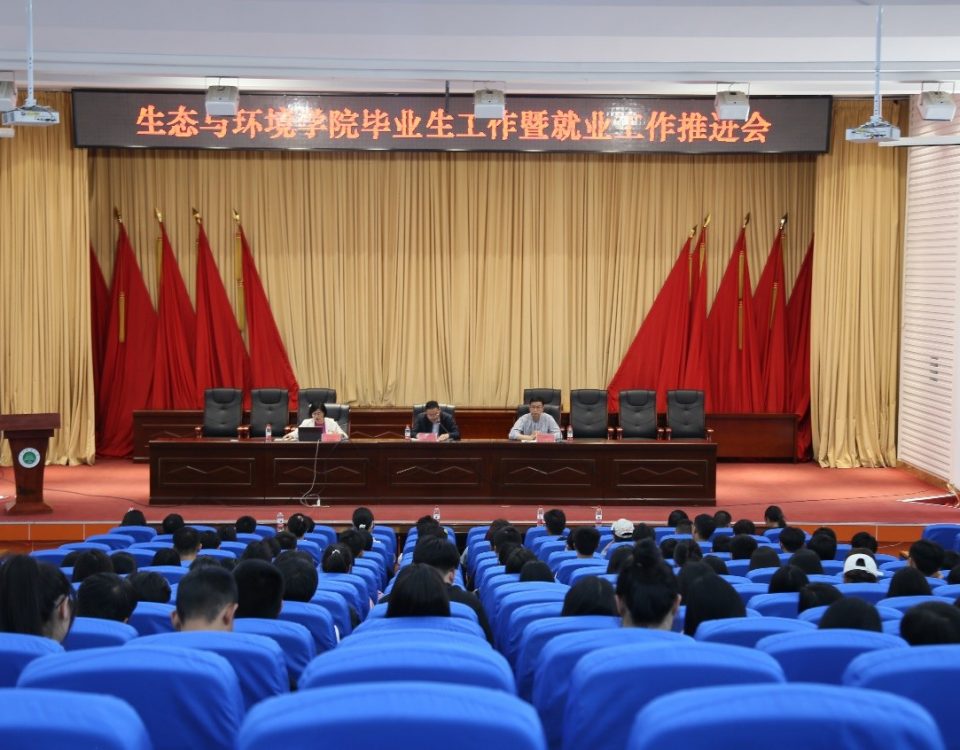 十大网络赌博网站排名