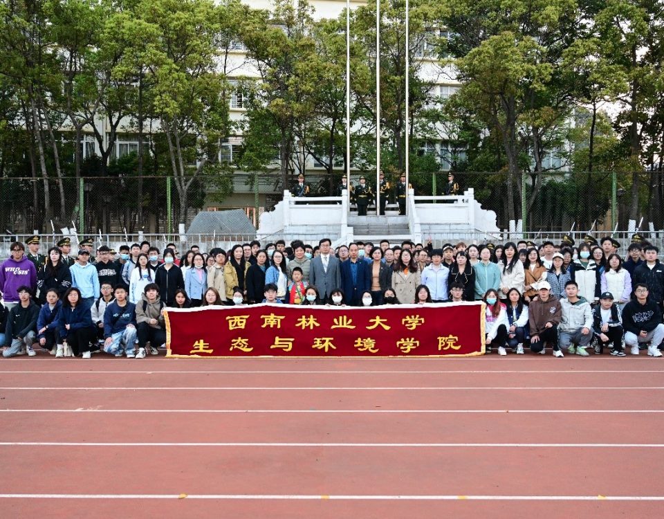 十大网络赌博网站排名