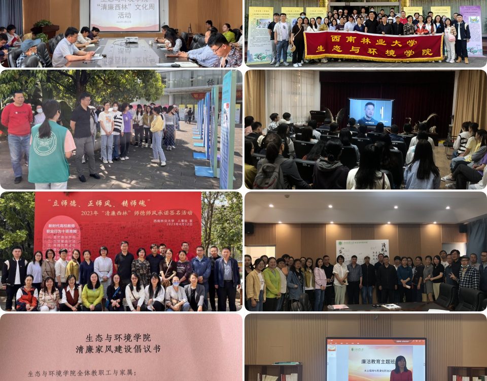 十大网络赌博网站排名