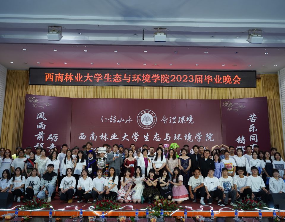 十大网络赌博网站排名