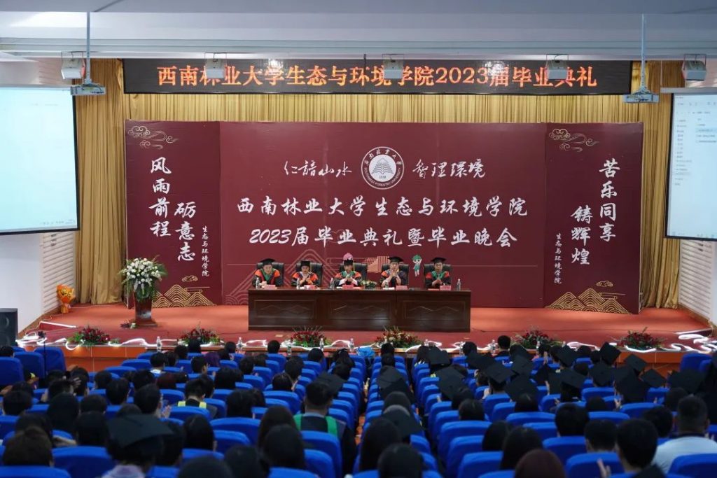 十大网络赌博网站排名