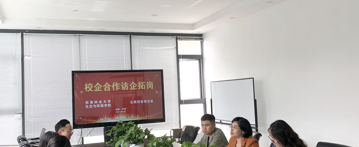 十大网络赌博网站排名