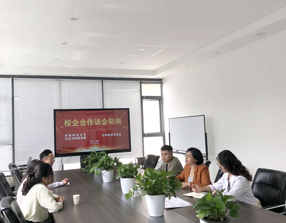 十大网络赌博网站排名