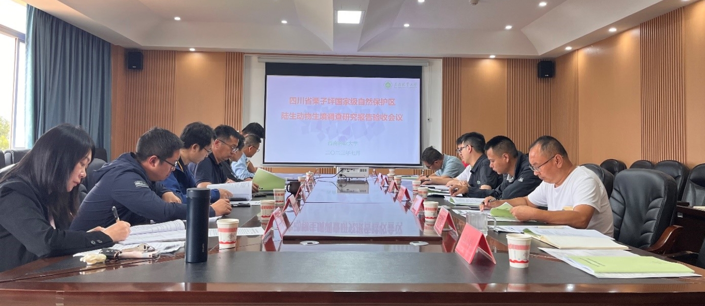十大网络赌博网站排名