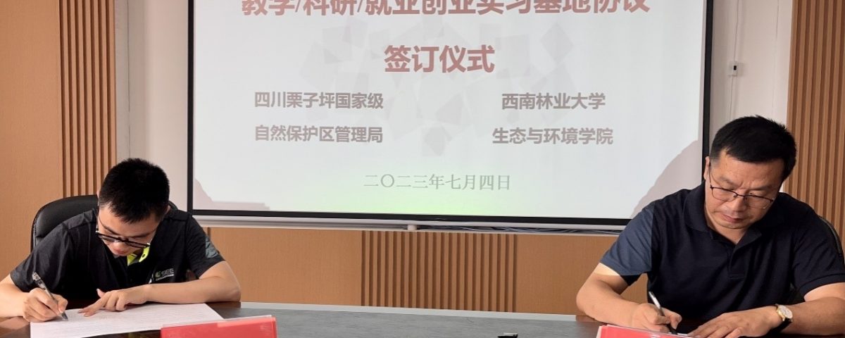 十大网络赌博网站排名