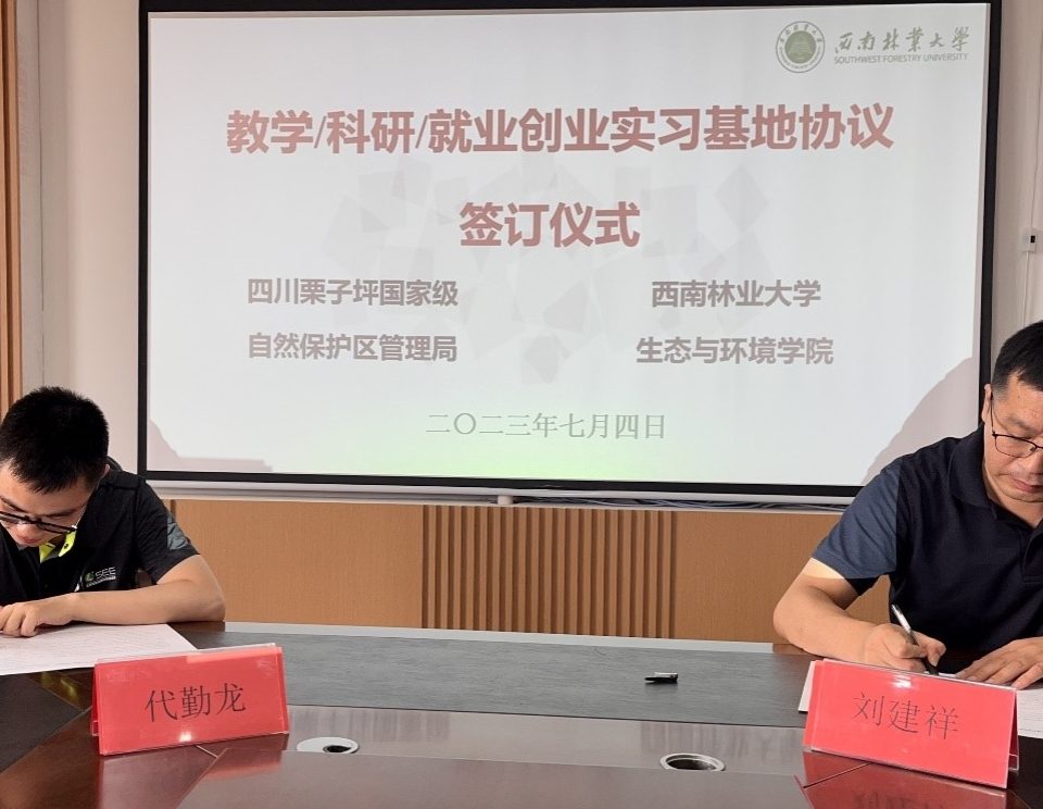 十大网络赌博网站排名