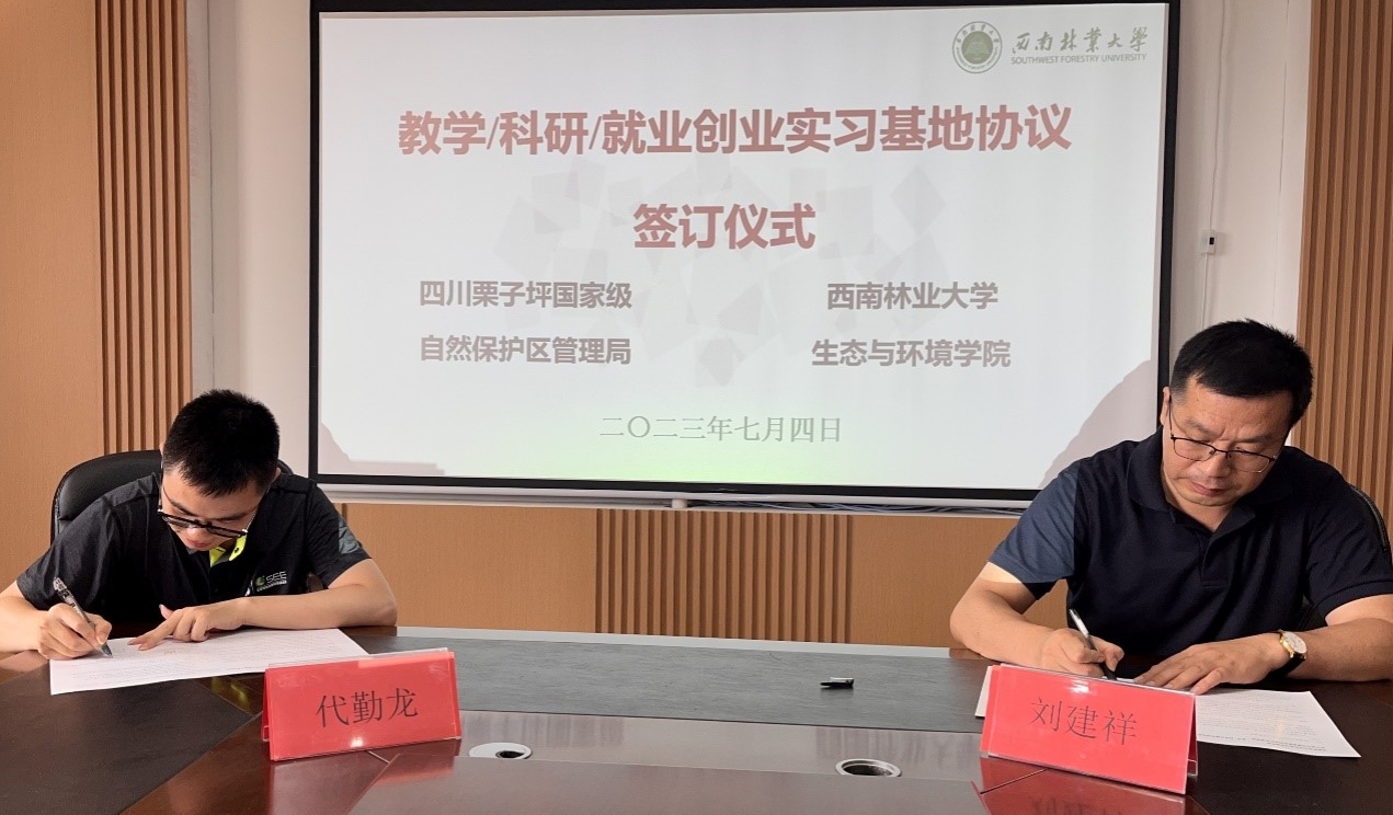 十大网络赌博网站排名