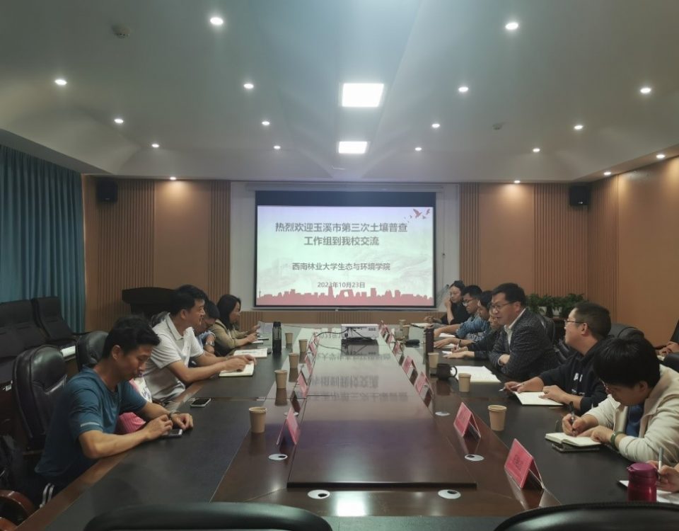 十大网络赌博网站排名