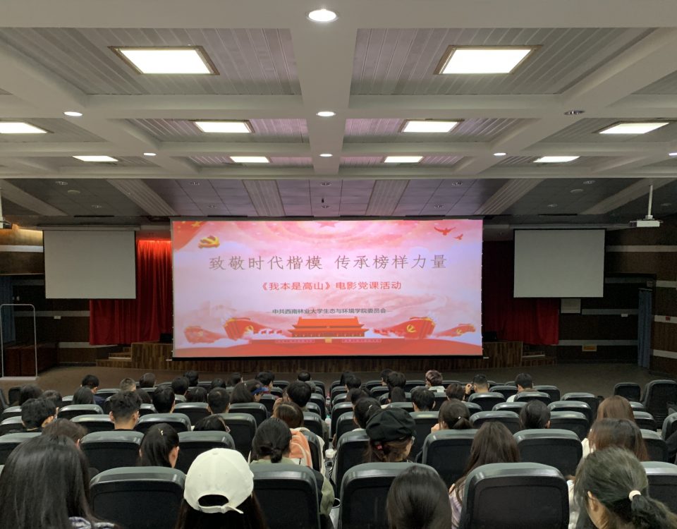 十大网络赌博网站排名