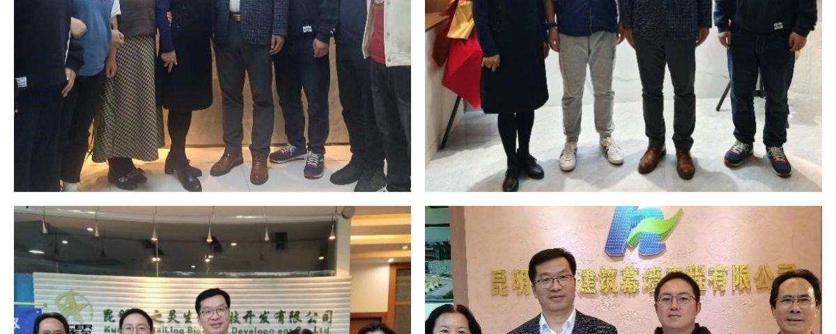 十大网络赌博网站排名