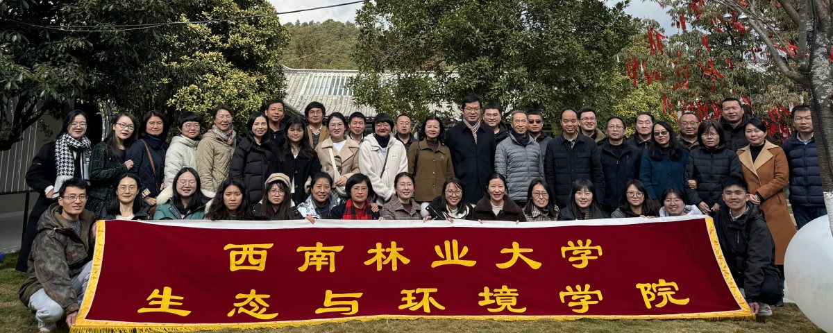 十大网络赌博网站排名
