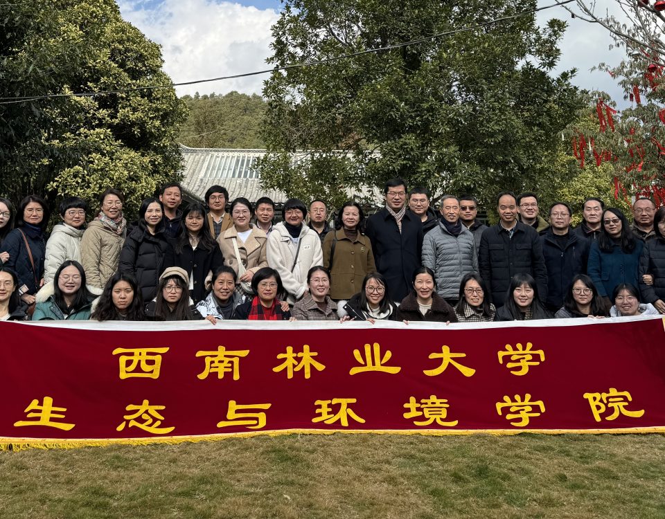 十大网络赌博网站排名