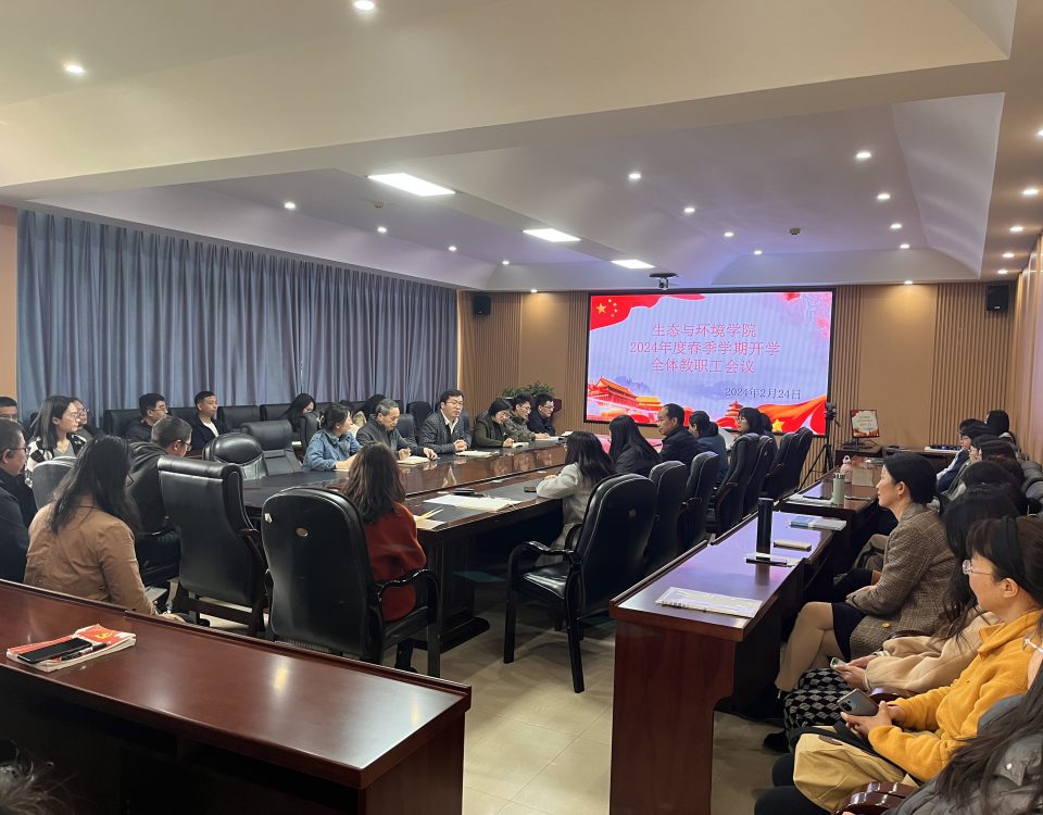 十大网络赌博网站排名