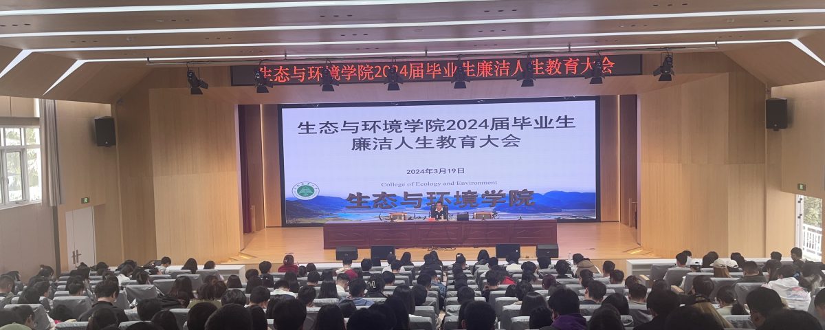 十大网络赌博网站排名
