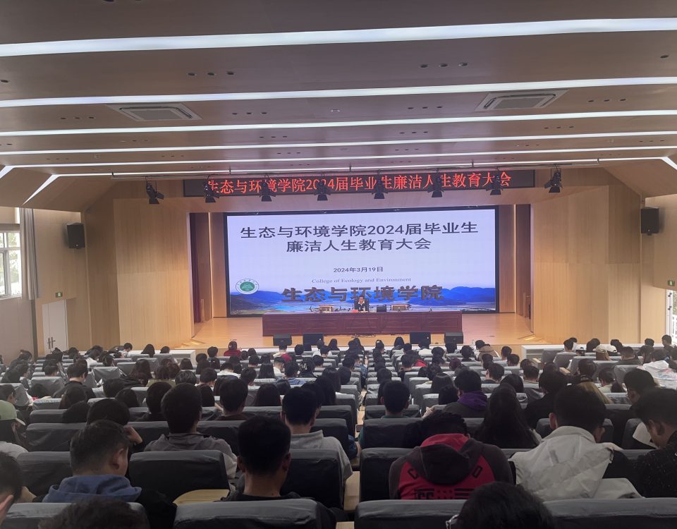 十大网络赌博网站排名