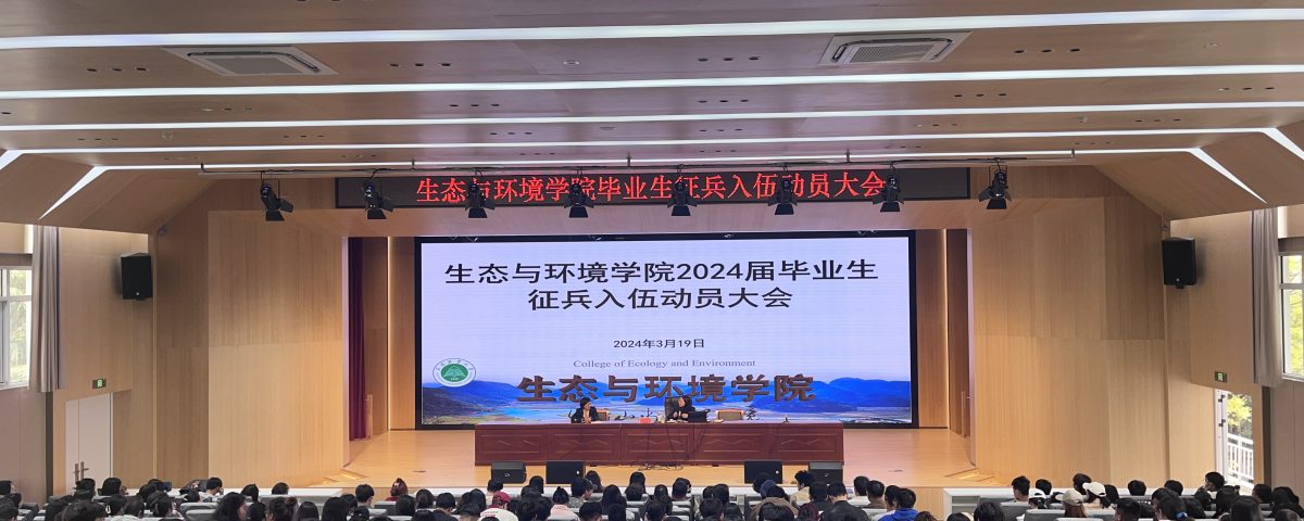 十大网络赌博网站排名